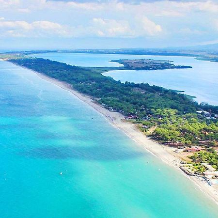 Chambres D Hotes A 20 Pas De La Plage Луччана Екстер'єр фото